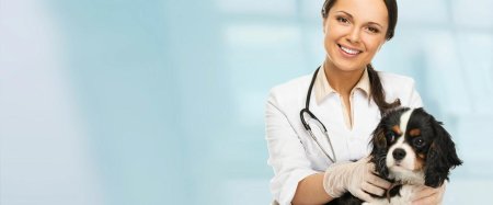 Ветеринарная клиника фон