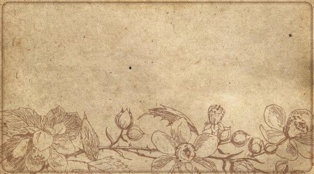 Винтажные фоны