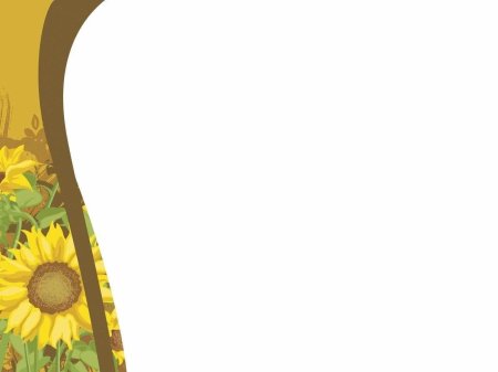 Фон для презентации Подсолнухи