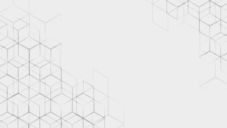 Дифференцировка мезодермы гистология