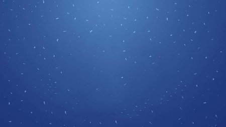 Фон однотонный