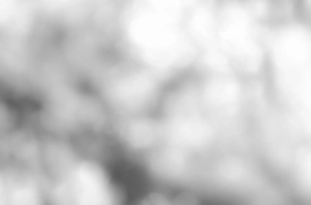 Размытый фон