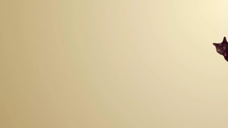 Бежевые обои