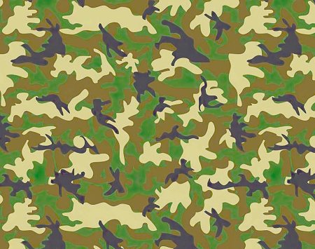 Цвет хаки цвет хаки камуфлированные