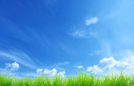 Трава и небо