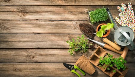 Садово-огородный инвентарь