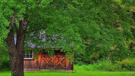 Дом на природе