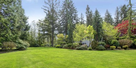 Сад с газоном и деревьями