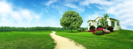 Дом с лужайкой