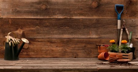 Предметы на деревянном фоне