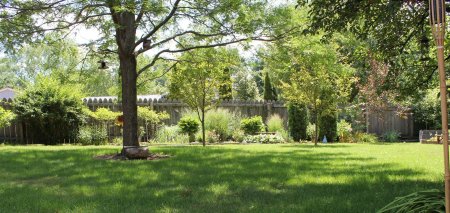 Бэкграунд для 3д Макс двор сад