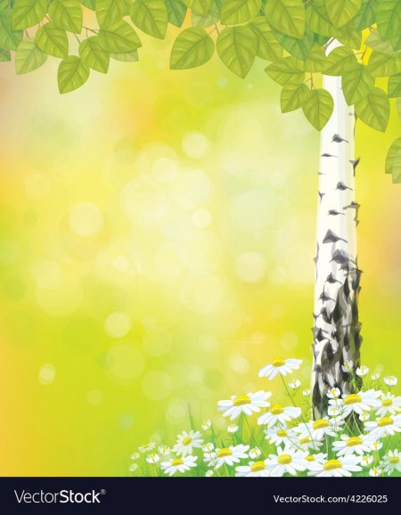 Фон Березки