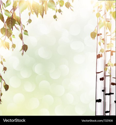 Фон для презентации Березки
