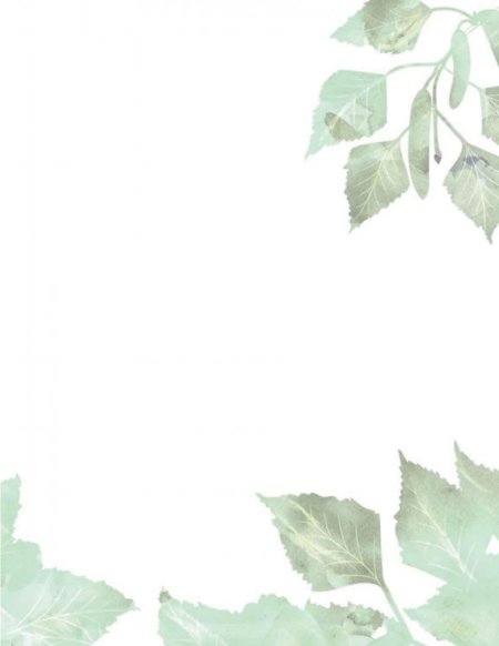 Рамка листья