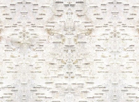 Фон Березовая береста