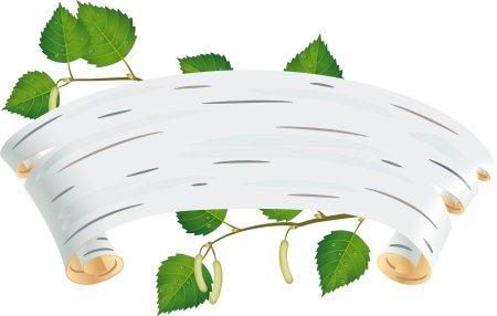 Береста кора березы вектор