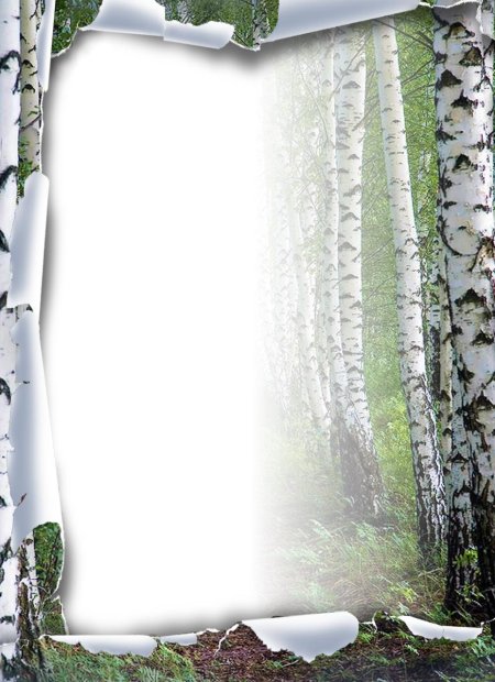 Рамка Березка