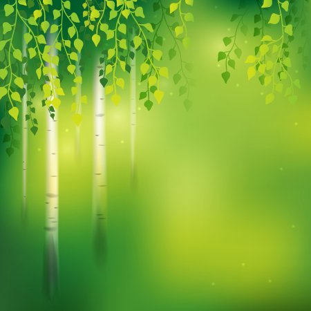 Рамка Березка