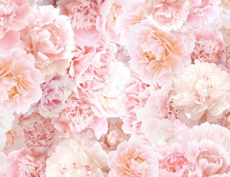 Пионы на бежевом фоне