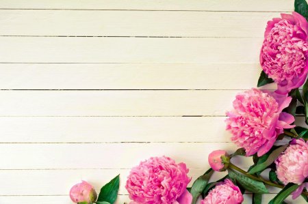 Пионы на деревянном фоне
