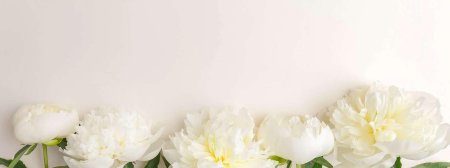 Пионы на Светлом фоне