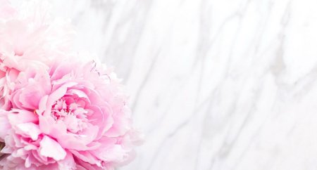 Пудровые пионы