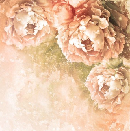 Бежевые цветы