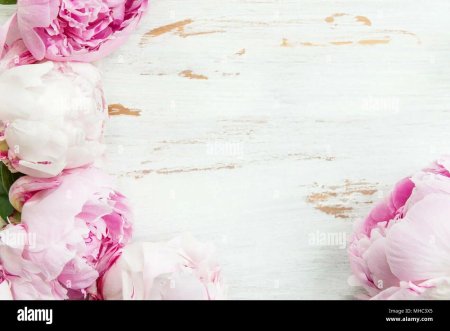 Фотофон пионы