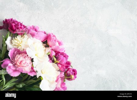 Рамка для поздравления пионы