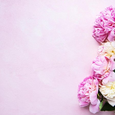 Розовый фон