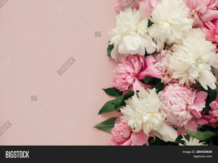 Пудровые пионы