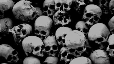 Череп на черном фоне