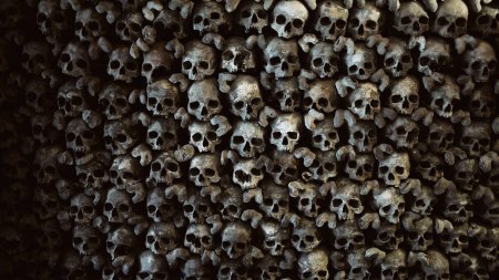 Стена из черепов