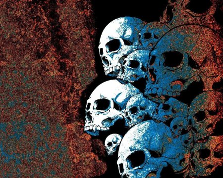 Обои череп
