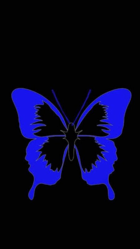 Бабочки на черном фоне