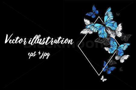 Бабочка на темном фоне