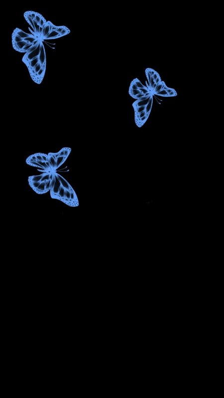 Черные обои с бабочками