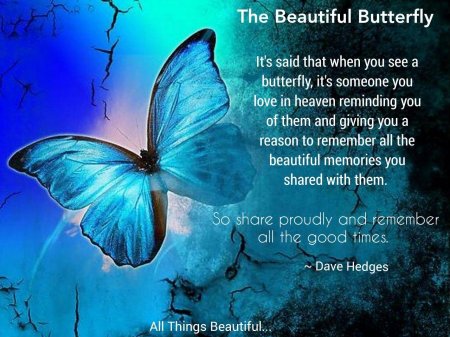 Голубая бабочка