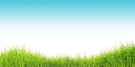 Фон для презентации природа