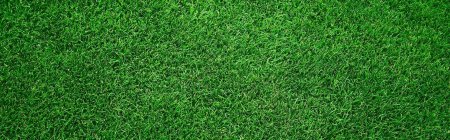 Текстура травы