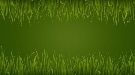 Зеленый фон