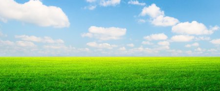 Трава и небо