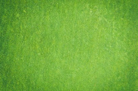 Текстура трава архикад