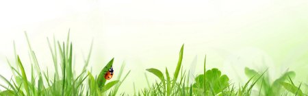 Фон для презентации по экологии