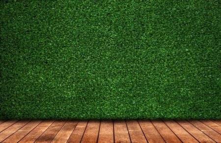 Зеленый газон