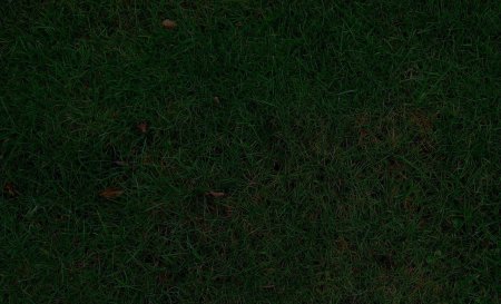 Газон текстура
