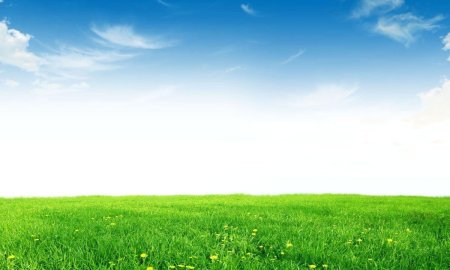 Трава и небо