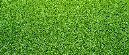 Трава вид сверху