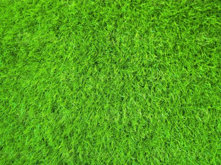 Искусственная трава Дюна Тафт