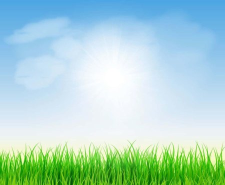 Трава и небо